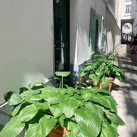 2 Pieces Montmartre Apartment Paris